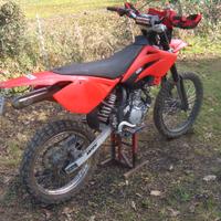 beta RR 2009