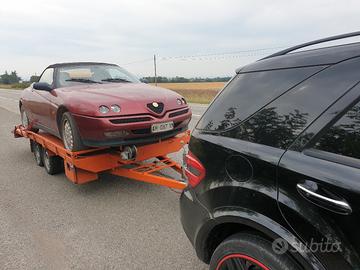 alfa gtv spider 