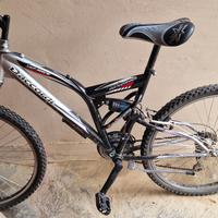 Mountbike 26 " Daccordi