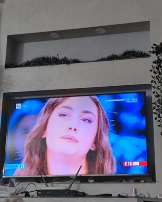 TV 47