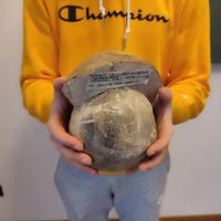 Enorme Fossile di Ammonite Globosum 6KG-19x18x16CM