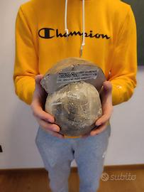 Enorme Fossile di Ammonite Globosum 6KG-19x18x16CM