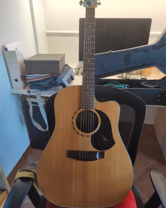 MATON EM325C amplificata