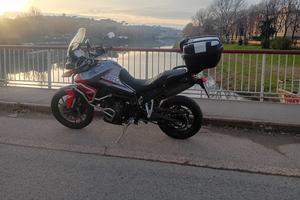 Triumph Tiger 850 - 2025