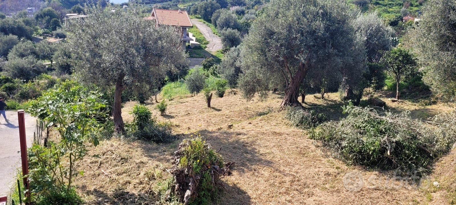 Terreno agricolo - View 3