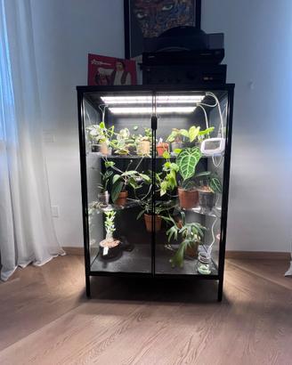 Vetrina IKEA Rudsta per piante tropicali