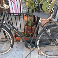 Bici donna 