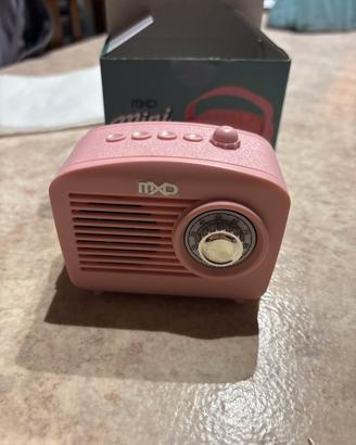 Mini cassa