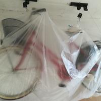 Bicicletta donna