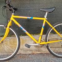 Specialized RockHopper 1990