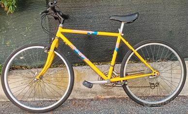 Specialized RockHopper 1990