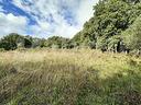 terreno-agricolo-canale-monterano-te16vrg-