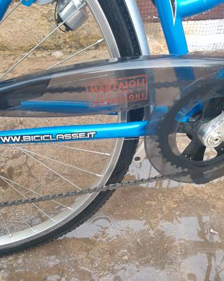 Bicicletta da passeggio 