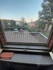 zanzariera per finestra bianca