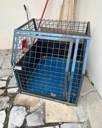 Trasporto cane in ferro dimensioni 60x70x80