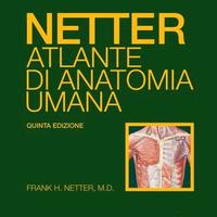 Netter Atlante di anatomia umana