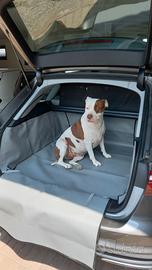 Telo vano bagagli Audi A4 Avant 2022-24