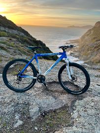 Bici mtb