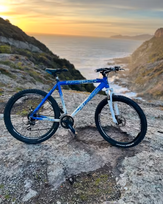Bici mtb