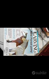 woodcarving magazine 