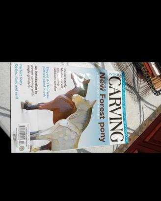 woodcarving magazine 
