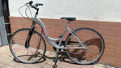 bicicletta da donna 