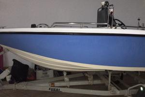 Barca motore e carrello omologato