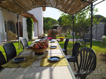 Sul mare villa con giardino ideale per gruppi nume