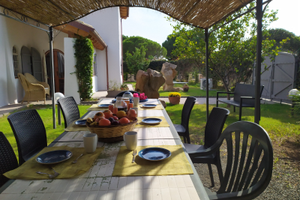 Sul mare villa con giardino ideale per gruppi nume
