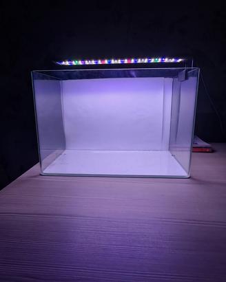 Acquario e plafoniera
