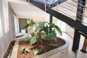 Rif.2460RV24959| villa carpaneto piacentino