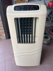 Condizionatore portatile