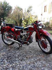 Moto Guzzi Airone Sport 250. TRATTABILE