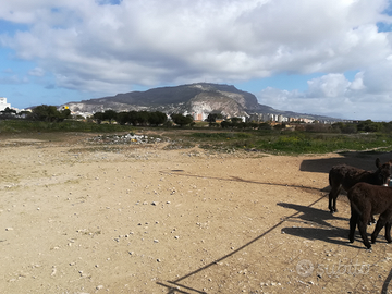 Lotto agricolo trapani