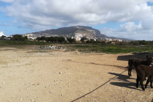 Lotto agricolo trapani