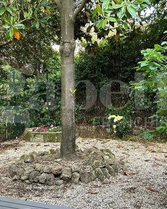 Appartamento Roma [Cod. rif 3341671VRG]