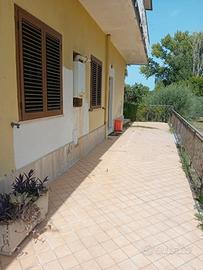Appartamento piano terra