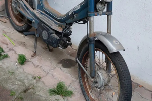 Califfone rizzato 50