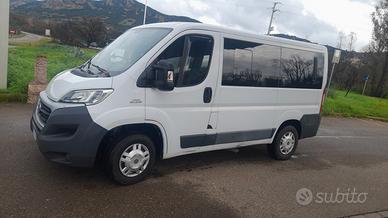 Fiat ducato 9 posti