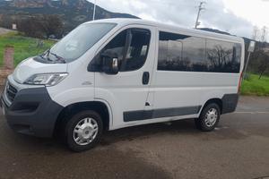 Fiat ducato 9 posti