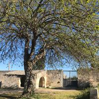 Casa Vacanza immersa nella campagna
