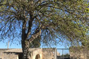 Casa Vacanza immersa nella campagna