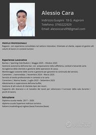 Cameriere/barman
