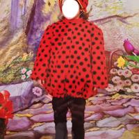 vestito di carnevale coccinella  3 anni