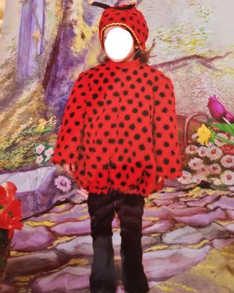 vestito di carnevale coccinella  3 anni