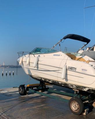 Sessa Islamorada 23