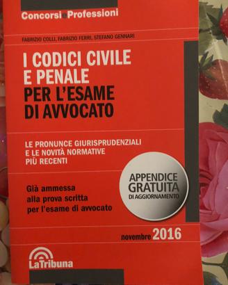 Codici civili e penale