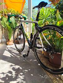 bici da corsa cipollini 