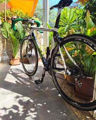 bici da corsa cipollini 