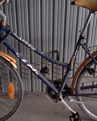 bici da passeggio 